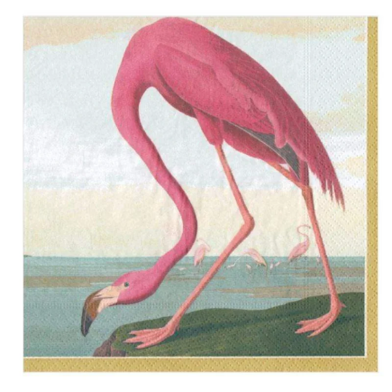 Caspari-Audubon Birds