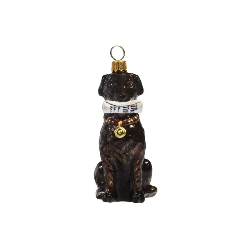 Chocolate Lab with Newspaper Ornament